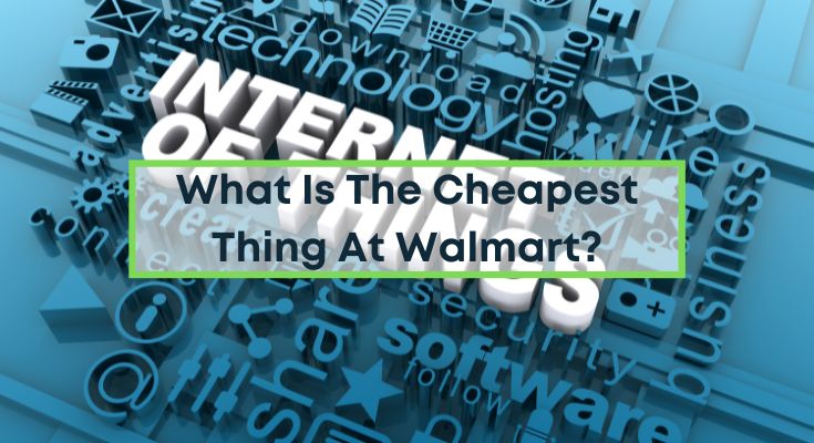 What-Is-The-Cheapest-Thing-At-Walmart