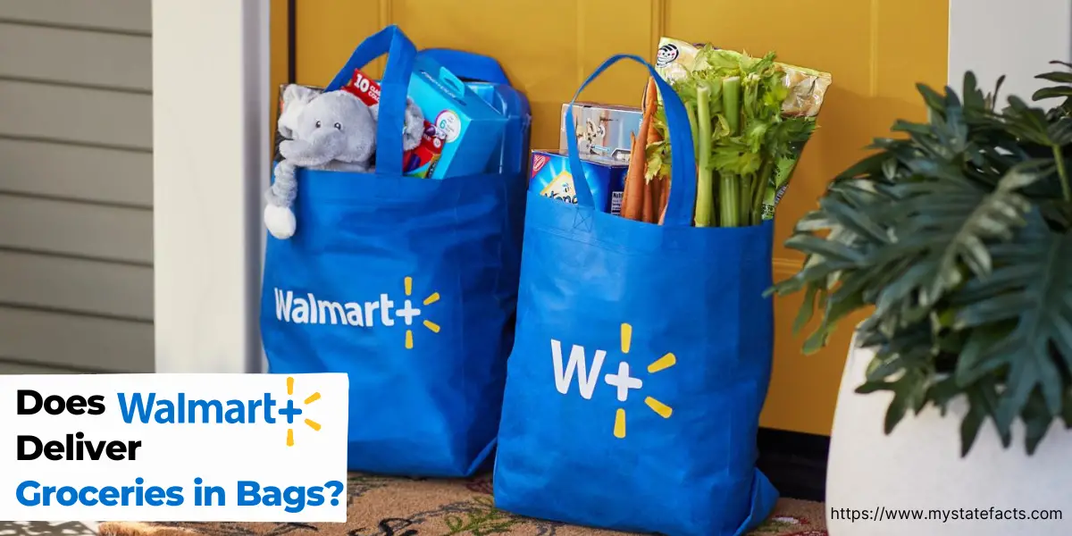 Does Walmart Deliver Groceries in Bags? MyStateFacts