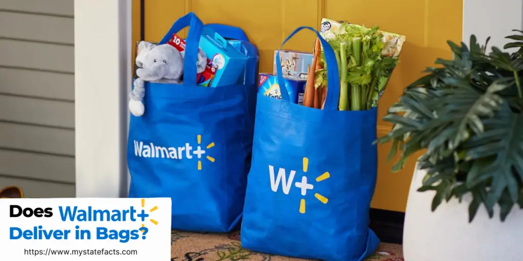 Does Walmart Deliver in Bags? MyStateFacts