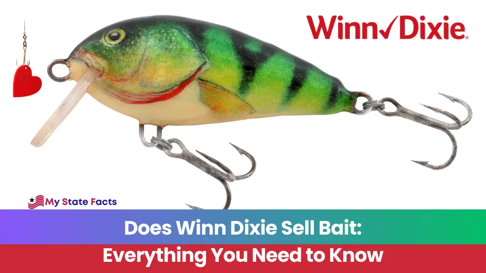 Does Winn Dixie Sell Bait Everything You Need to Know