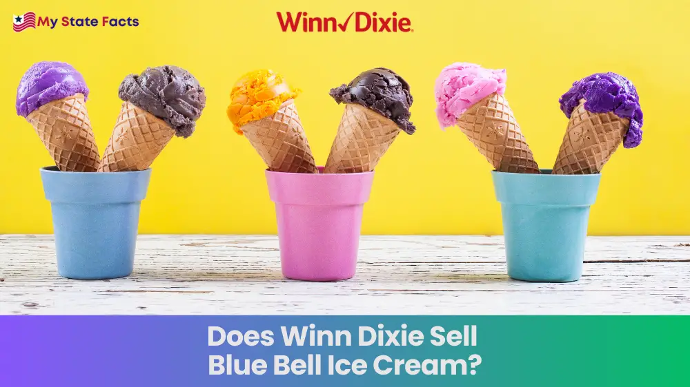Does Winn Dixie Sell Blue Bell Ice Cream? MyStateFacts