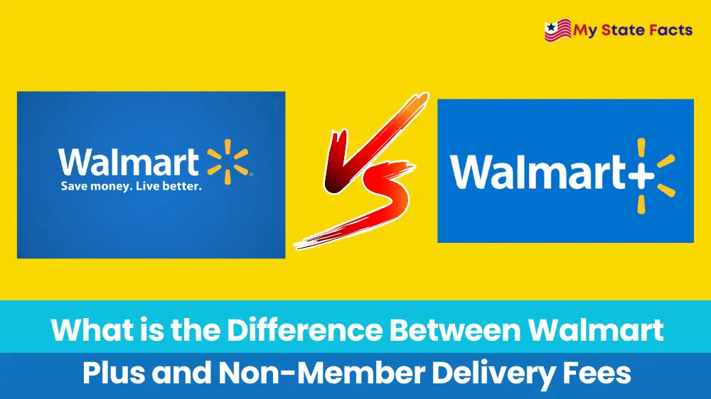 Difference Between Walmart Plus and NonMember Delivery Fees