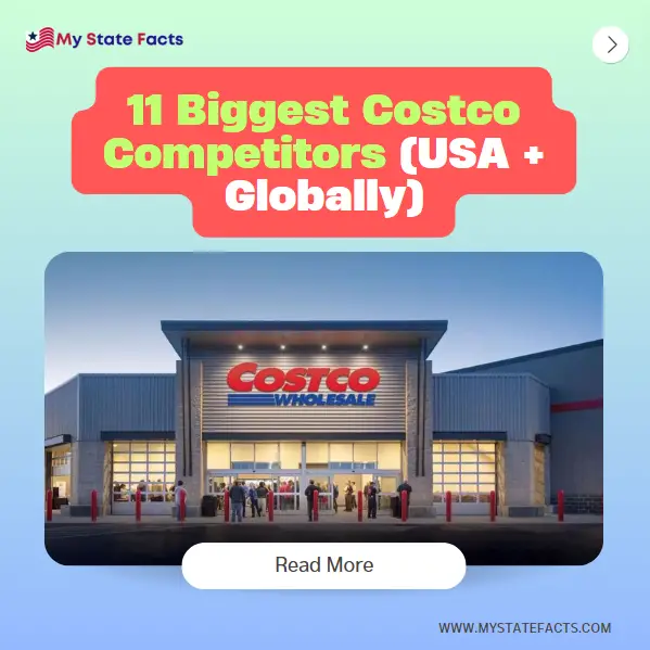 11 Biggest Costco Competitors (USA + Globally)
